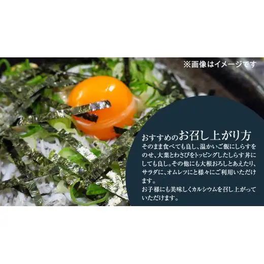 大津港水揚げの 釜揚げしらす 1kg (500g×2パック) (茨城県共通返礼品：北茨城市)