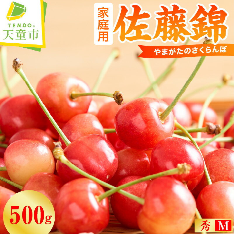 【ふるさと納税】 さくらんぼ ( 佐藤錦 ・ ご家庭用 ) 500g 秀 M以上 山形 先行予約 令和8年産 2026年産 サクランボ チェリー フルーツ 果物 くだもの 旬 ご自宅向け 期間限定 数量限定 冷蔵 のし 贈答 ギフト プレゼント お取り寄せ 産地直送 送料無料 【 山形県 天童市 】