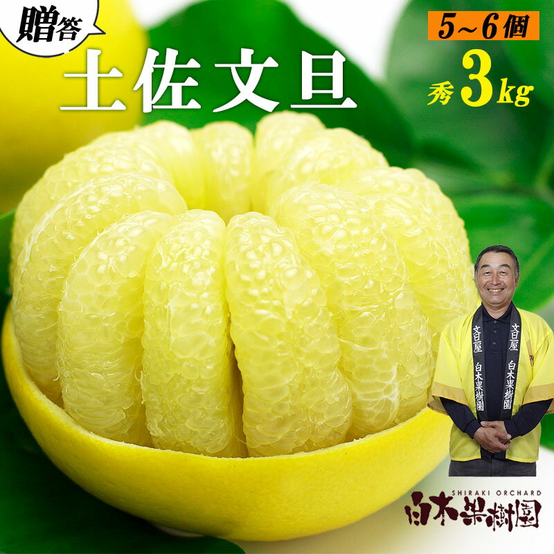 【ふるさと納税】【先行予約】【果樹園直送】土佐文旦　2L中玉6個もしくは3L大玉5個入り〈2027年2月中旬〜3月下旬頃発送〉 / 　特選品贈答用　果物　柑橘　フルーツ　ぶんたん　ブンタン　文旦　高知県土佐市　お取り寄せ【白木果樹園】[BQAI008]