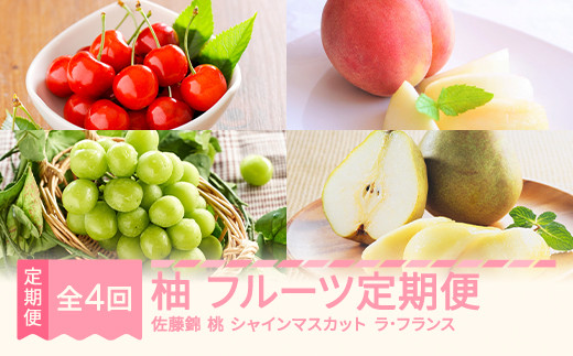 
            【先行予約】柚 フルーツ 定期便 全4回 さくらんぼ 佐藤錦  もも 白桃 ぶどう シャインマスカット ラ・フランス ギフト 果物 2025年産 令和7年産 山形県産 mm-ft4yz
          
