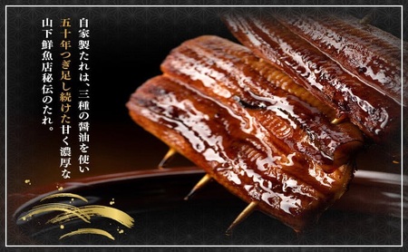うなぎ蒲焼き 800g (200g×4尾) 