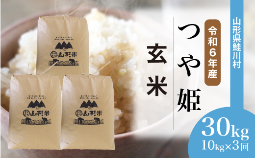 ＜令和6年産米＞山形県産 特別栽培米 つや姫【玄米】30kg 定期便 (10kg×3回)  配送時期指定できます！ 鮭川村