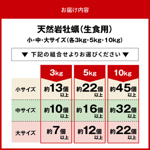 延岡産天然岩牡蠣（生食用）10kg（中）（2024年4月1日から発送開始）　N036-ZD026