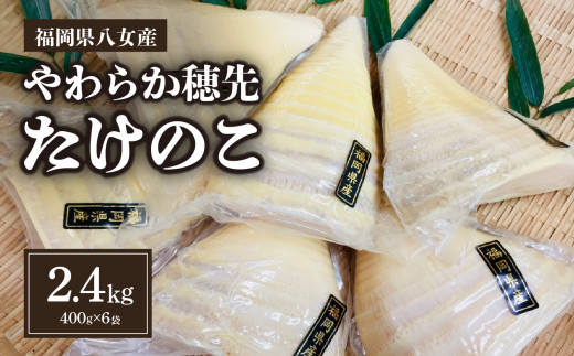 福岡県八女産 やわらか穂先たけのこ 400g×6袋｜【出荷時期】2026年5月以降 筍 タケノコ 旬 国産 九州産 福岡県 八女市