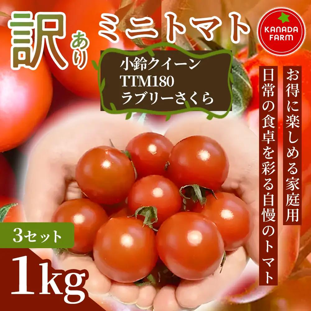 《先行予約》【お得に楽しめる家庭用】訳ありミニトマト 1㎏ 3セット 野菜 規格外 お買い得 自宅用 たっぷり まとめ買い 大容量 新鮮 旬 食材 お取り寄せ 愛知県 豊橋市
