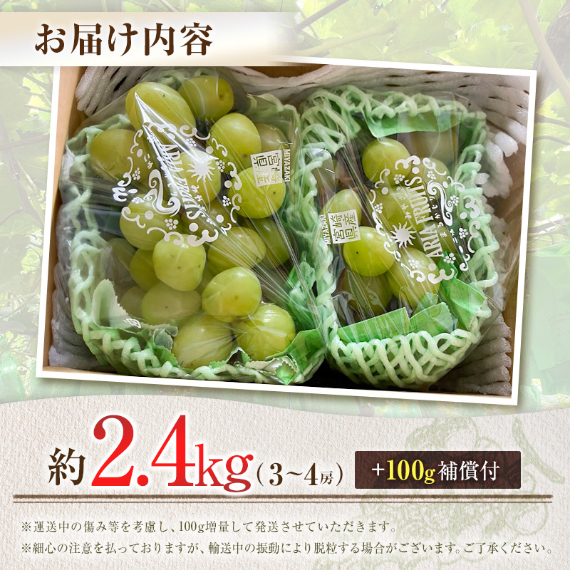 先行予約 シャインマスカット 3～4房 約2.4kg+100g補償付 宮崎県産【C433-25】_イメージ5