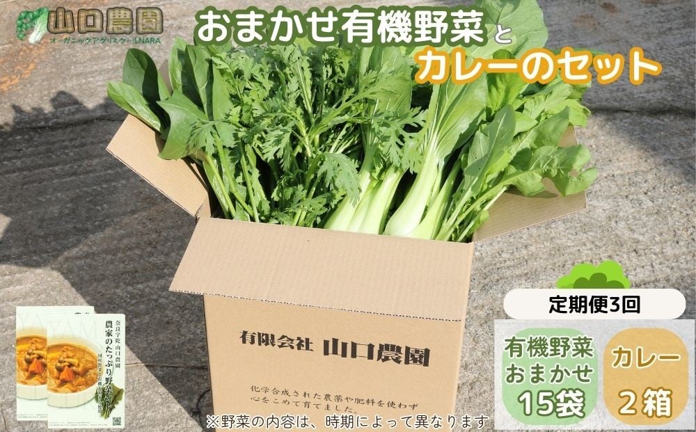 
                  定期便 ３ヶ月 山口農園 有機野菜 おまかせセット＋カレー２箱 詰合せ 冷蔵 月１回 ／山口農園 有機野菜 伝統野菜 オーガニック ベジタリアン 定期便 カレー 無農薬 野菜セット 送料無料 無農薬 農家直送 ふるさと納税 詰め合わせ 奈良県 宇陀市 ふるさと納税
                