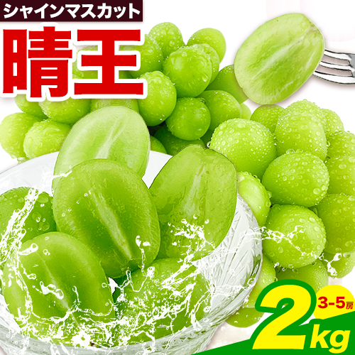 ぶどう【2026年先行予約】シャインマスカット 晴王 2kg 3房 ～ 5房 岡山県産《2026年9月上旬-10月末頃出荷(土日祝除く)》 ハレノフルーツ マスカット 送料無料 岡山県 浅口市 フルーツ 果物 贈り物 ギフト 国産 岡山県産【配送不可地域あり】