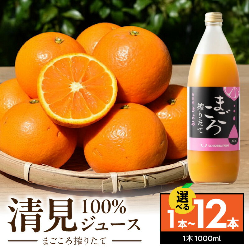 【ふるさと納税】搾りたて 清見100%ジュース 1000ml 選べる 内容量 1本 2本 3本 6本 12本 有田育ち 清見 清見オレンジ みかん あっさり 酸味 甘味 飲みやすい みかんジュース ジュース 飲料 常温 お取り寄せ 和歌山県 湯浅町 送料無料