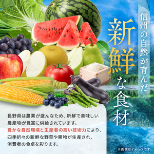 【先行受付：2026年発送】信州産 品種おまかせ旬の生プルーン 約2kg（500g×4パック）