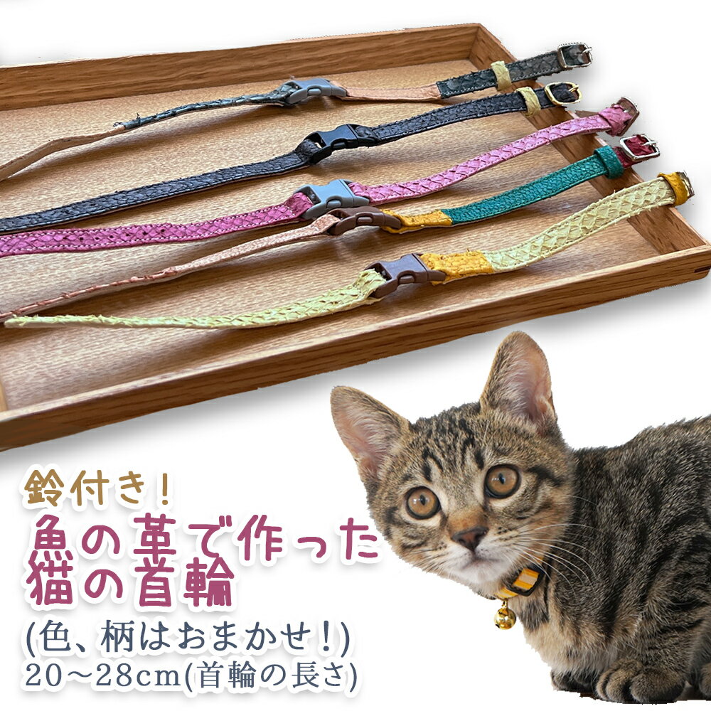 【ふるさと納税】 鈴付き！魚の革で作った猫の首輪（色、柄はおまかせ！） 富山県 氷見市 革 加工品 猫 くびわ 20 cm ～ 28 cm