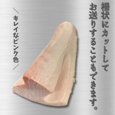 ふるさと納税 三浦市 特選ビンチョウマグロ【トロビンチョウ】 |  | 01