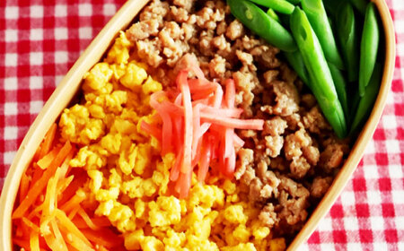 朝挽き 清流美どり お弁当セット 5種 11点 鶏肉 若鶏 お取り寄せ 岐阜市/若鶏の春近[ANDL003]