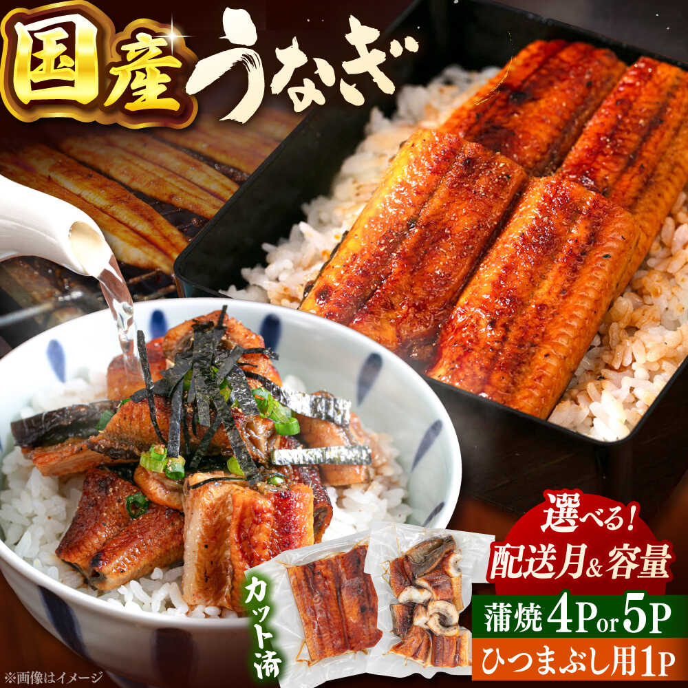 【ふるさと納税】【選べる発送月&容量】国産 カット うなぎ 蒲焼 約70g×4P or 約80g×5P と ひつまぶしの贅沢セット ▼うなぎ 鹿児島 鹿児島県 九州 国産 うなぎ ウナギ うなぎ きざみ セット 鰻　桂川町/山水商事[ADAH025]