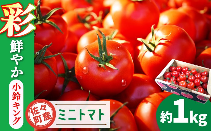 
【先行予約】ミニトマト 小鈴キング 1kg【C&T farm】 [QBG003]
