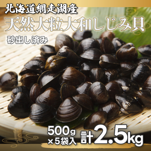 【先行予約】網走湖産 天然大粒 大和しじみ 2.5kg ※着日指定不可（2026年5月20日以降発送予定） ABX033