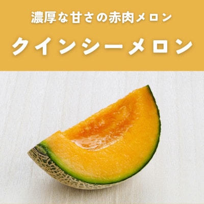 茨城県産オトメ・クインシーメロンセット優品または秀品3L以上2玉入【2026年4月下旬以降順次発送】【配送不可地域：離島・北海道・沖縄県・中国・四国・九州】