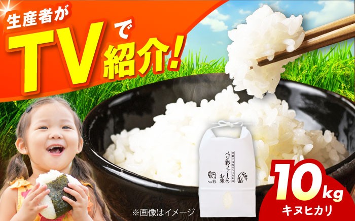 
            令和7年産 新米 キヌヒカリ 10キロ きぬひかり 新米 米 お米 白米 コメ おこめ 10kg 大阪府高槻市/ベジ彩ファーム [AOEJ010]
          