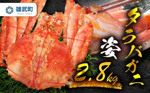 
            《数量限定》北海道オホーツク産 タラバガニ姿　2.8ｋｇ | タラバガニ カニ 蟹 タラバ たらば蟹 海鮮 魚介 海の幸 おつまみ 晩酌 夜ご飯 贅沢 ご褒美 オホーツク産 北海道産　お取り寄せ 北海道 雄武町 雄武【07194】
          