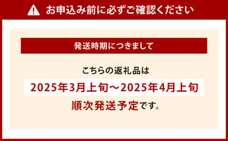 紫川デコ(不知火) Lサイズ 20玉入 計5kg程 フルーツキャップ付き【2025年3月上旬～2025年4月上旬発送予定】