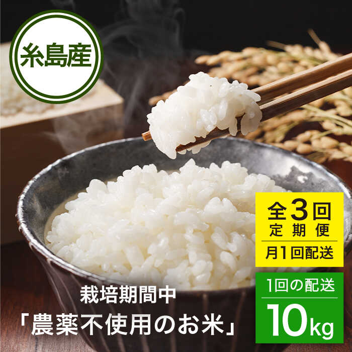 【ふるさと納税】【全3回(月1回)定期便】 栽培期間中 農薬不使用のお米 10kg 糸島市 / シーブ [AHC044] 米 定期便 100000円 10万円