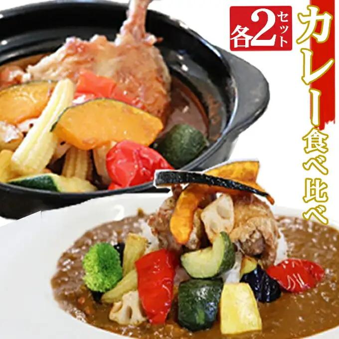 海土の食べ比べ　カレー編　スープカレーと大人のカレー　各２袋　惣菜 冷凍 おかず お手軽 加工食品 10000円 kd052