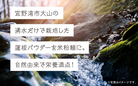 湧水栽培！琉球蓮根の米粉麺 (128g) 平麺 5個セット 国産 [ 小麦不使用 グルテンフリー 無添加 化学調味料不使用 ベジタリアン ヴィーガン ] | NATURAL TONE | めん 生麺 