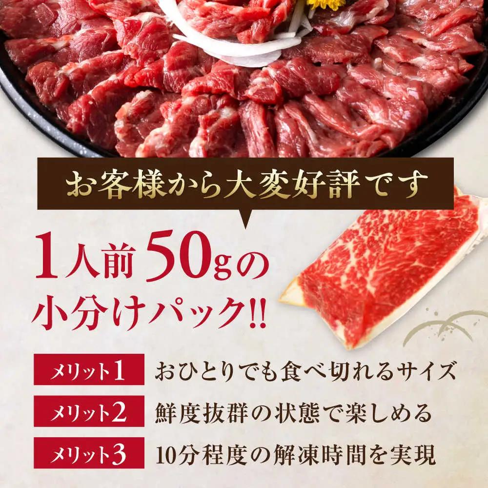 【全6回定期便】霜降り馬刺し 計約500g 熊本馬刺し[AYBP023]