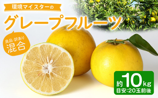 環境マイスターのグレープフルーツ 良品・訳あり混合 10kg （栽培期間中は無肥料・農薬不使用） 果物 くだもの フルーツ グレープフルーツ 柑橘 【2026年3月下旬～5月下旬迄順次発送予定】