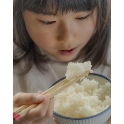 ふるさと納税 酒田市 山形県産　雪若丸5kg　令和7年産 |  | 01