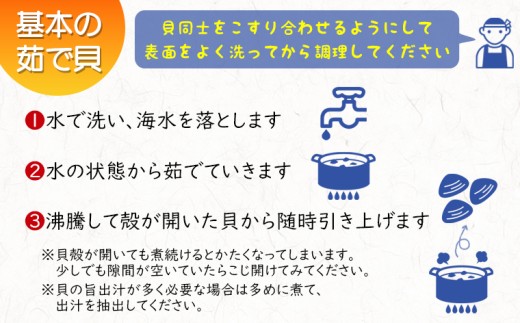 漁師直送！活ホンビノス貝4.5kg（Lサイズ）　ホンビノス 貝 白はまぐり 大あさり 浜焼き BBQ バーベキュー アウトドア キャンプ 漁師直送 産地直送 魚介類 海鮮 貝 シーフード クラムチャウダー スープ パスタ 天ぷら 酒蒸し 千葉県