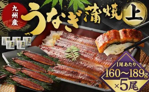 九州産 うなぎ 蒲焼 上 5尾 (1尾あたり160～189g)【2026年8月発送】