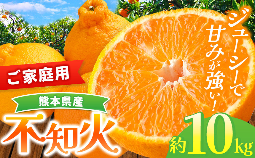 
『 かめまる食堂 』 熊本県産 ご家庭用 不知火 約 10kg （ デコポン と同品種 ) | 果物 くだもの フルーツ 柑橘 柑橘類 みかん 訳あり でこみかん 熊本県産 生産量全国一位！
