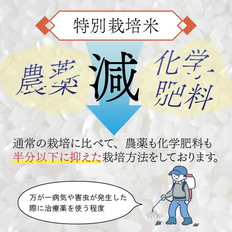 【 先行予約 】 令和8年産 特別栽培米 コシヒカリ 精米 9kg 【2026年10月末より順次発送開始予定】米