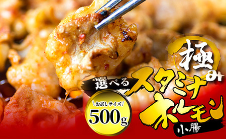 国産 極みのスタミナホルモン 小腸 タレ揉み 500g ： 250×2袋 国産ホルモン