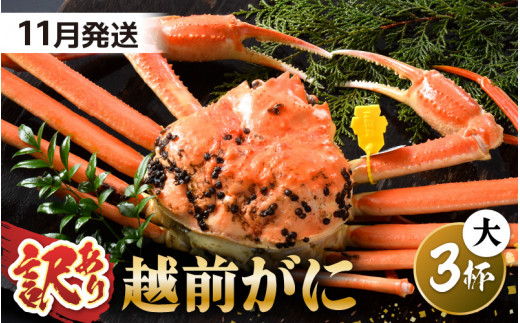【先行予約】【訳あり】 茹で「越前ズワイ蟹」 大 3杯 脚折れ 【2026年11月発送分】【わけあり ワケアリ カニ かに 蟹 越前ガニ 越前蟹 ずわいがに ズワイガニ ズワイ ボイルガニ 姿 ボイル 冬の味覚 冷蔵 国産 県産】 [O-1403_11]
