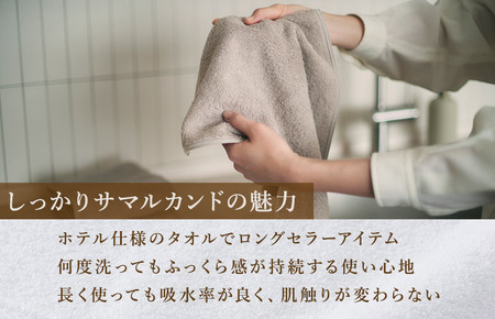 （今治タオルブランド認定）しっかりサマルカンドフェイスタオル 2枚 グレー今治タオル ふっくら フェイスタオル [IA05290FT2GY]
