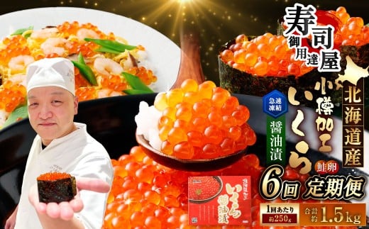 【6回定期便】 北海道加工 いくら醤油漬 約250g（1パック）×6回 計約1.5kg いくら醤油漬け いくら イクラ 醤油漬 醤油漬け 冷凍
