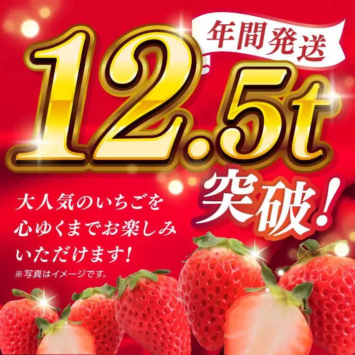 冷凍 いちご ゆうべに 約2kg【熊本ベリー】[ZER014]