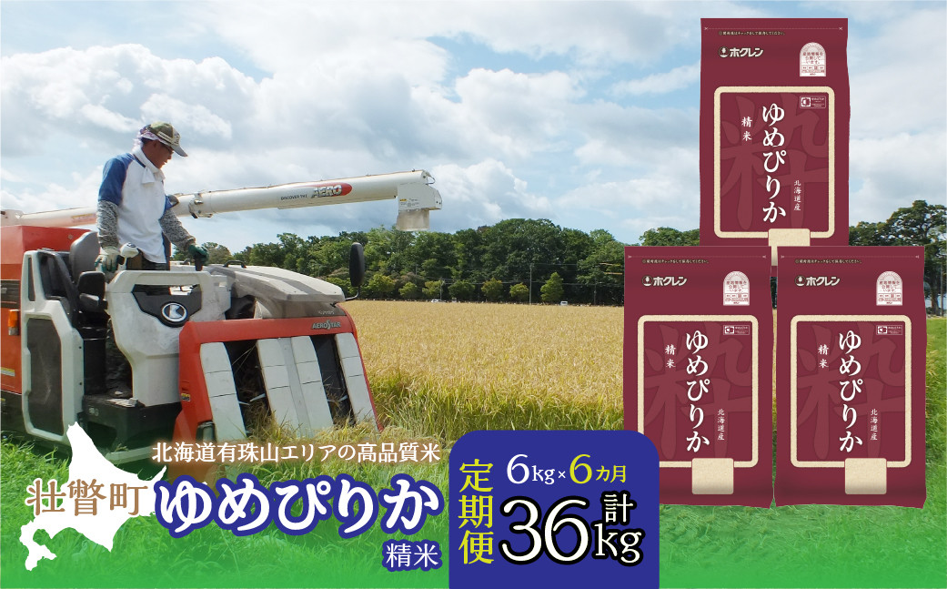 
            【令和6年産 6ヶ月定期配送】（精米6kg）ホクレンゆめぴりか（精米2kg×3袋） 【 ふるさと納税 人気 おすすめ ランキング 北海道産 壮瞥 定期便 精米 米 白米 ゆめぴりか 甘い おにぎり おむすび こめ 贈り物 贈物 贈答 ギフト 大容量 詰合せ セット 北海道 壮瞥町 送料無料 】 SBTD031
          