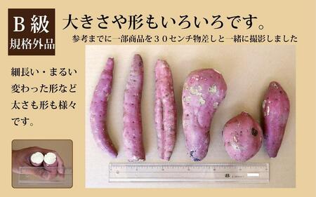 訳あり さつまいも 紅はるか 堀りたて 10kg (1箱 ) 新物 鹿児島県産 2024年12月末までに出荷【訳あり さつまいも 紅はるか 堀りたて 新物 鹿児島県産 10kg ( 1箱 ) 先行予約