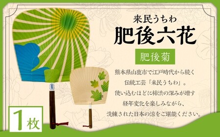 来民うちわ 肥後六花 「 肥後菊 」 うちわ 伝統工芸 縁起物 防虫効果 伝統技法 雑貨 生活雑貨