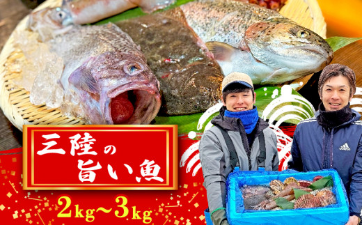 「下処理あり」三陸の旨い魚！季節の鮮魚便 2kg～3kg おまかせセット 