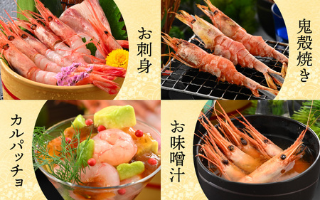 【特別企画】【訳あり】三国港から産地直送！「三国港甘えび」 500g + 100g 合計約600g ～本場の濃厚な甘海老を是非ご賞味ください！～ 【わけあり ワケアリ 濃厚 甘い 刺身 生食可 生 冷
