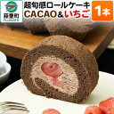 【ふるさと納税】超旬感ロールケーキ（CACAO＆いちご）1本 スイーツ 洋菓子 ケーキ 苺 【先行予約】 2024年12月～2025年3月発送