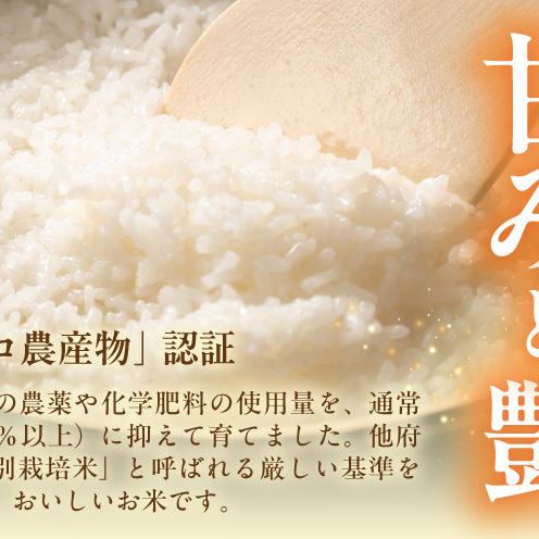 令和8年産 泉佐野産 にじのきらめき 5kg G5607_イメージ3