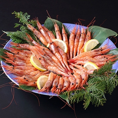 ぷりぷりの浜坂産 船内冷凍「あまえび」500g入り【配送不可地域:離島】【1561585】