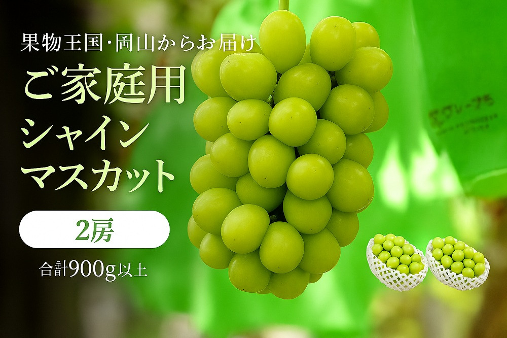 家庭用 シャインマスカット2房 合計900g【9月上旬以降発送】