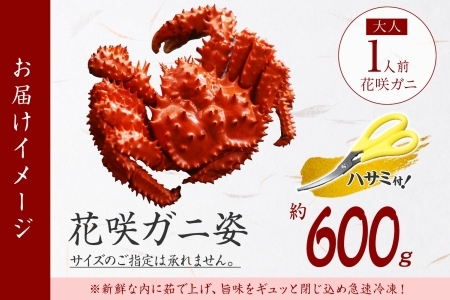 2926. ボイル花咲蟹姿 600g 食べ方ガイド・専用ハサミ付 カニ かに 蟹 海鮮 送料無料 北海道 弟子屈町