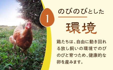 放し飼い 自然卵 「歩荷」 箱20個入 / 卵 たまご 鶏卵 玉子 平飼い / 稲沢市 / 平飼い自然卵歩荷 [BMBM001]